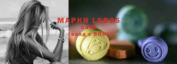 прущие грибы Алзамай