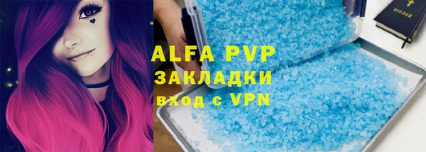 прущие грибы Алзамай