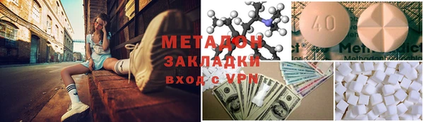 прущие грибы Алзамай