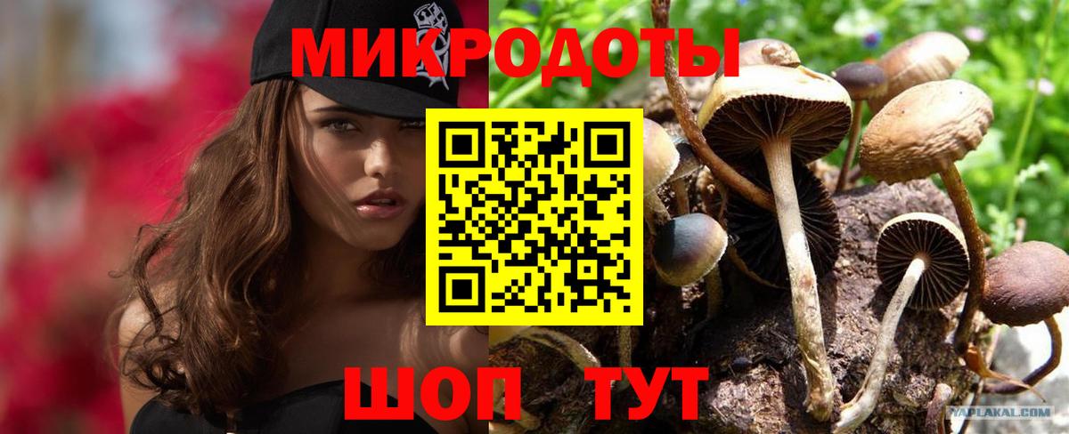 Полевской  Галлюциногенные грибы мухоморы  хочу   Вход с VPN  Галлюциногенные грибы ЛСД 